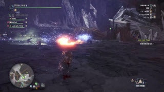 モンスターハンターワールド