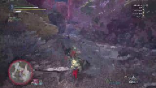 モンスターハンターワールド