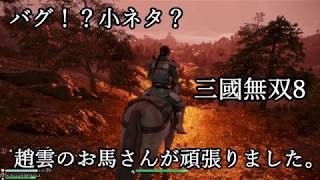 三國無双8 趙雲の馬が頑張る！【バグ？】