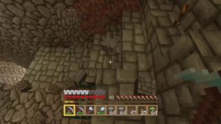 【マインクラフト】ちゅなかんの生放送【＃47】【初見さん歓迎】