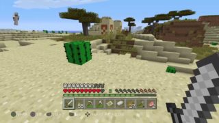 【生配信】マインクラフト　まったり生活