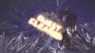 モンスターハンターワールド　試し放送枠　ネギ