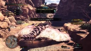 モンスターハンター：ワールド_20180515183119