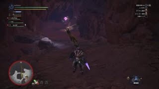 モンスターハンター：ワールド_20180509021033
