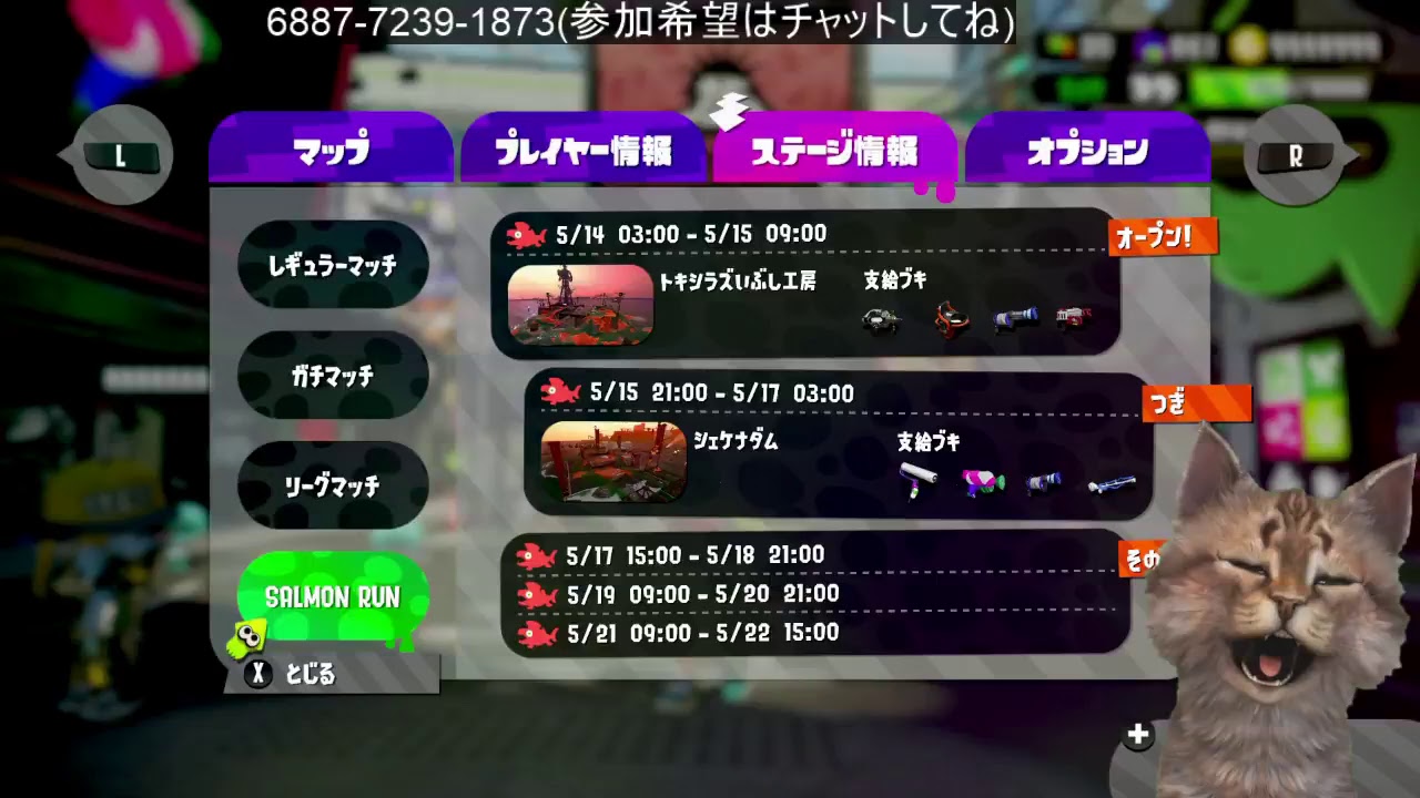 スプラトゥーン２　5時までサーモンラン　参加希望はチャットしてね