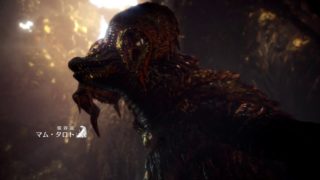 【視聴者さん参加歓迎】【#26】まったりのんびり狩りを楽しむモンスターハンターワールド MHW