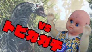 呪いの人形の「モンスターハンターワールド」#07 VSトビカガチ