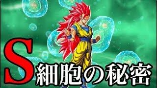 【ドラゴンボール超】悟空とヤモシのS細胞の違い。S細胞にはある秘密が   。