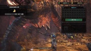 モンスターハンター：ワールド_20180501104053