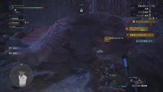 モンスターハンター：ワールド_20180510005755
