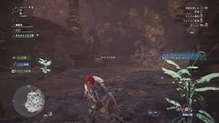 [MHW] もはやホラー… マム・タロトさんの消失 [モンスターハンター：ワールド]
