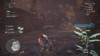 [MHW] もはやホラー… マム・タロトさんの消失 [モンスターハンター：ワールド]