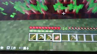 逆再生マインクラフトビートルート