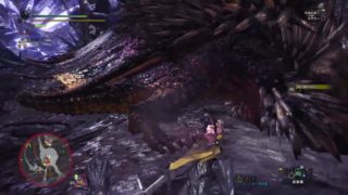 モンスターハンター：ワールド_20180522152416