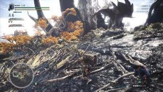 モンスターハンター：ワールド_20180529115626
