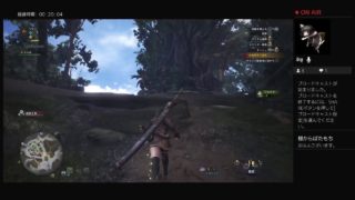 モンハンど素人娘がモンスターハンターワールド始めてみた　＃1