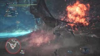 モンスターハンター：ワールド_20180527180148