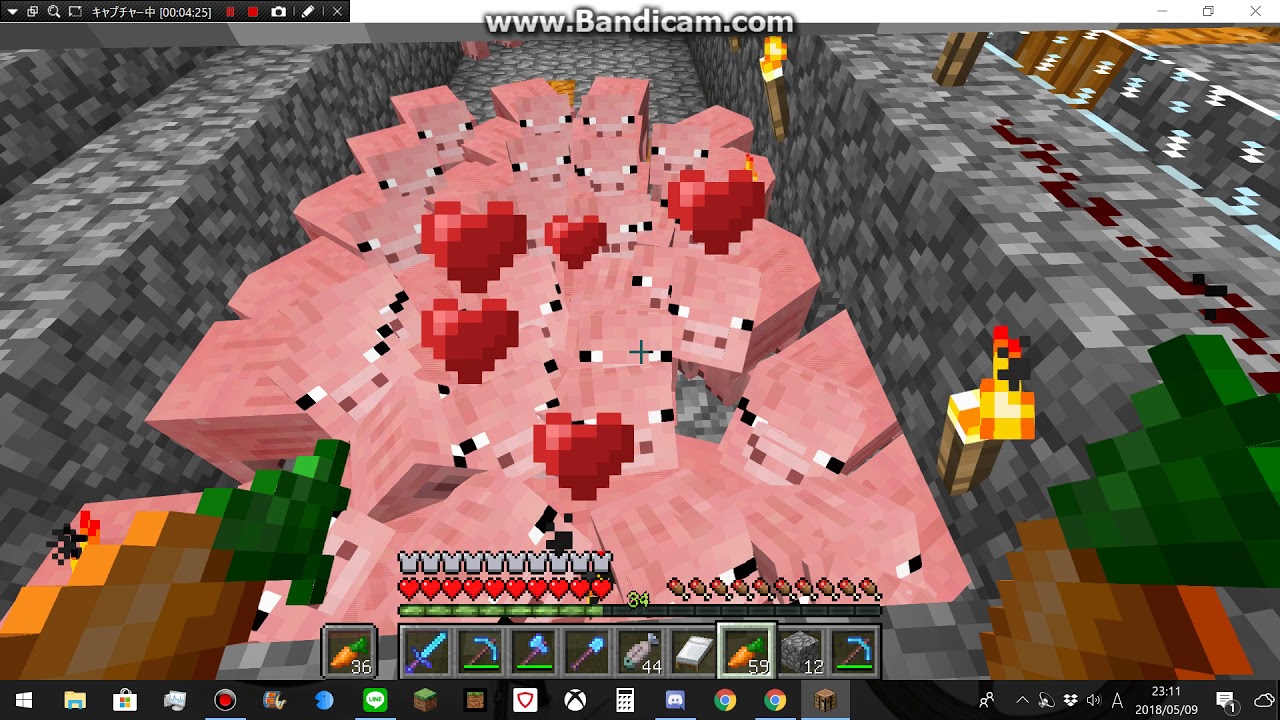 『マインクラフト』日常生活 2018 05 09  02 豚養殖場