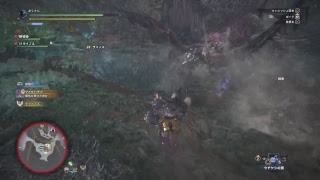 おくさんがモンスターハンターワールドで調査クエをやるよ！　フレンドとがんばる