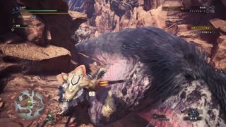 モンスターハンター：ワールド　相棒（人間）のアンジャナフ推しが非常にうざい