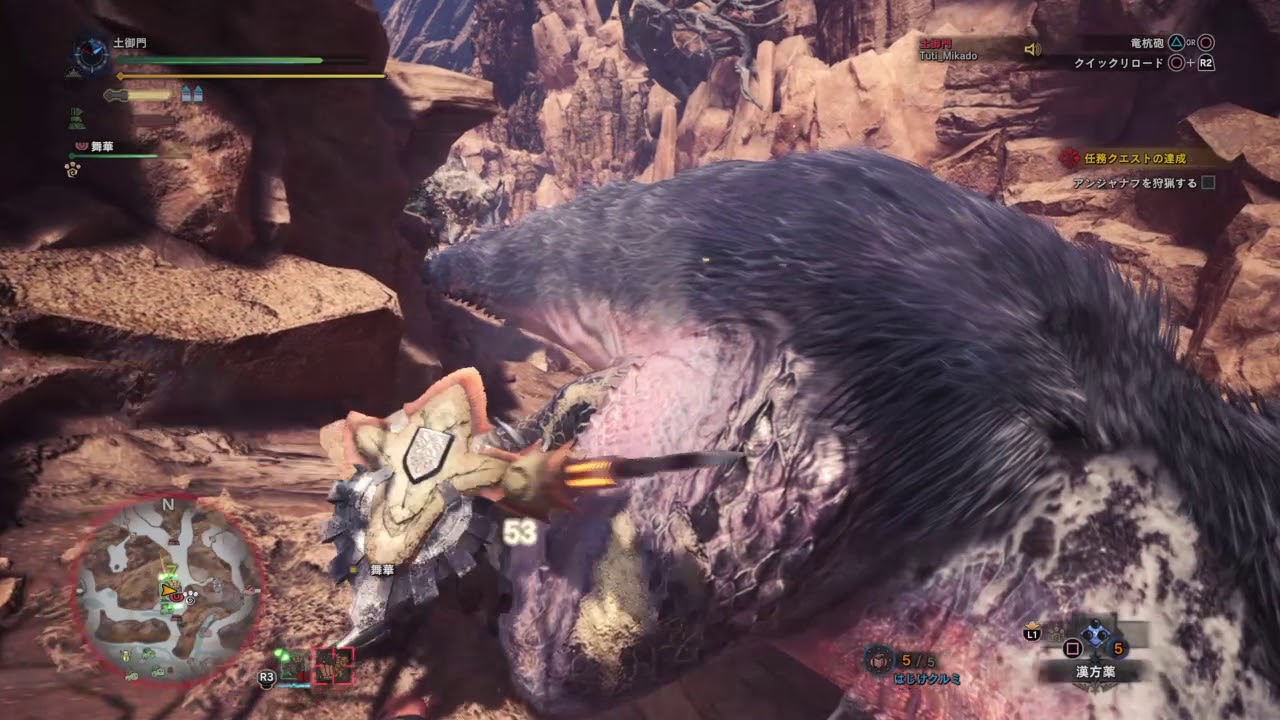 モンスターハンター：ワールド　相棒（人間）のアンジャナフ推しが非常にうざい