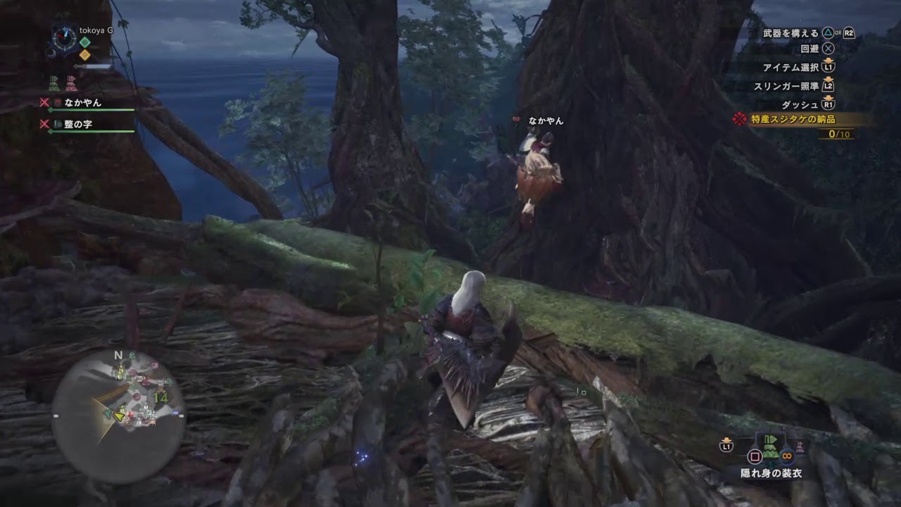 モンスターハンター：ワールド_20180510022435