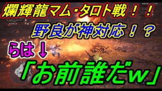 【モンスターハンター：ワールド実況】決戦！！爛輝龍マム・タロト戦！！　野良の神対応に、らは「お前誰だｗ」炸裂ｗ
