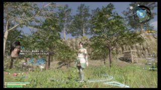 真・三国無双8 　星彩＃1［究極］