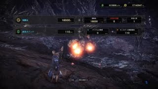 モンスターハンター：ワールド_20180519112155