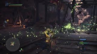 モンスターハンター：ワールド_20180527190635