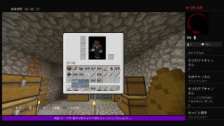 PS4[マインクラフト]まったり雑談ラジオ放送※画面固定多いです