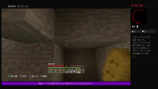 PS4[マインクラフト]まったり雑談ラジオ※画面固定多いです