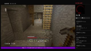 PS4[マインクラフト]まったり雑談ラジオ※画面固定多いです