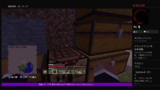 PS4[マインクラフト]まったり雑談ラジオ※画面固定多いです