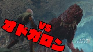 呪いの人形の「モンスターハンターワールド」#13 VSオトガロン