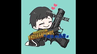 【ゲーム実況?】貼り薬の違和感。【PUBG】