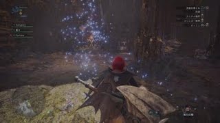 [MHW] 修行中のオトモを目撃してしまう [モンスターハンター：ワールド]