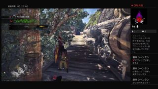 モンスターハンターワールド　影番と共に