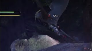 モンスターハンターワールド　影番と共に