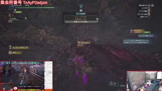 【MHW】マイペースに野良狩猟笛 【モンスターハンター：ワールド】