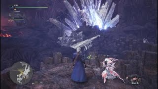 モンスターハンター：ワールド_20180528024808