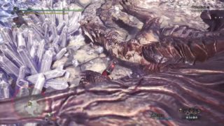 モンスターハンター：ワールド　歴戦クシャルダオラ2