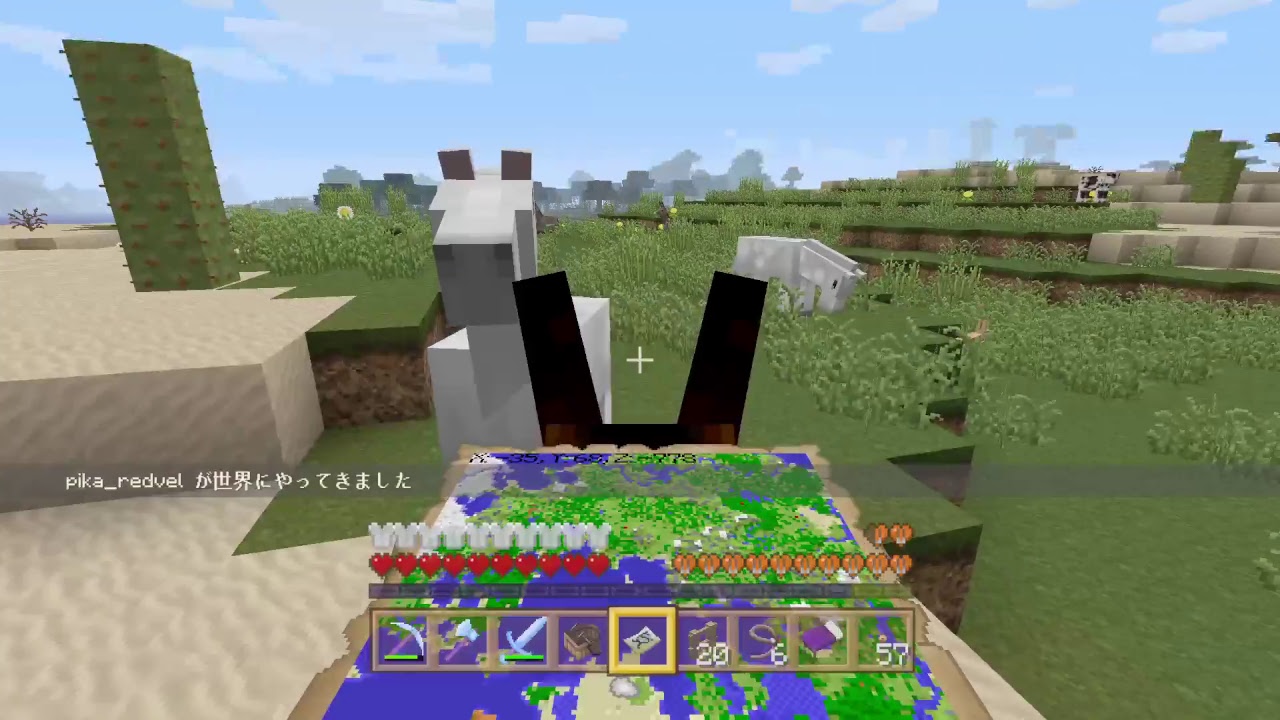 【マインクラフト】ちゅなかんの生放送【#24】【初見さん歓迎】