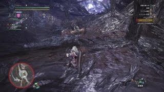 モンスターハンター：ワールド_20180207210608