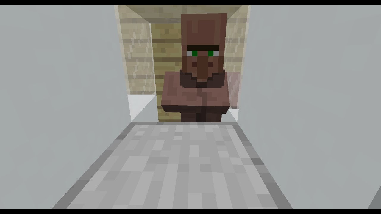 【マインクラフト】ミントのマイクラ日記　6話　農民さん誕生・交易と村人さんの部屋作成