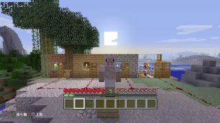 [マインクラフト]マイクラしゅるお！？