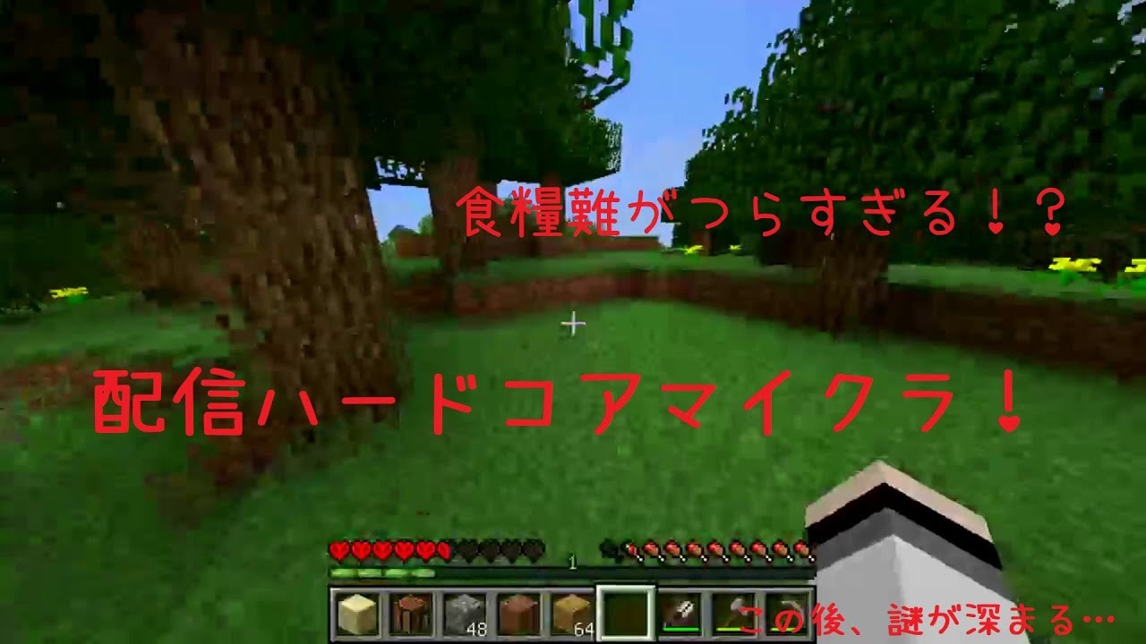 【配信で作る動画】配信で編集までするマインクラフト！【食糧難】