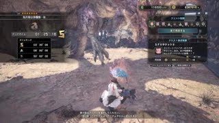 モンスターハンター：ワールド_20180517021106