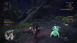 #11 ソロで狩るモンスターハンターワールド［LIVE］