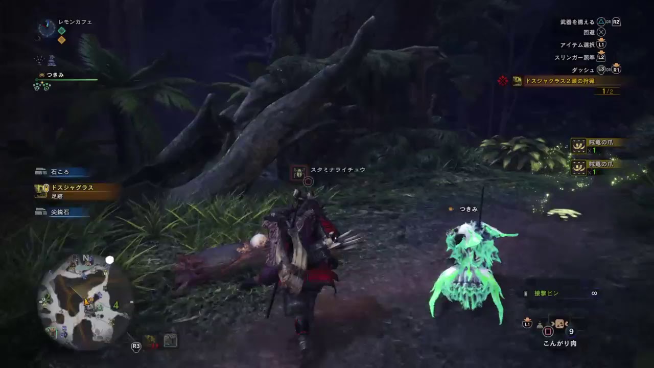 #11 ソロで狩るモンスターハンターワールド［LIVE］